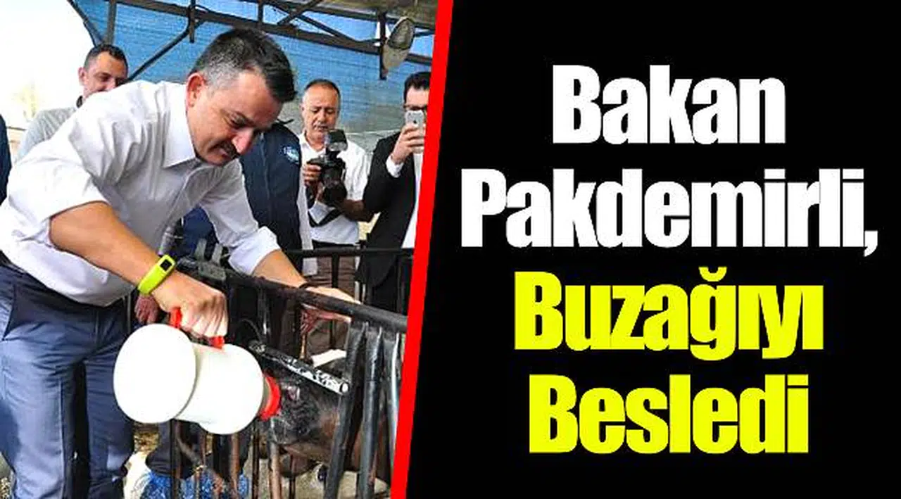 Bakan Pakdemirli, Buzağıyı Besledi