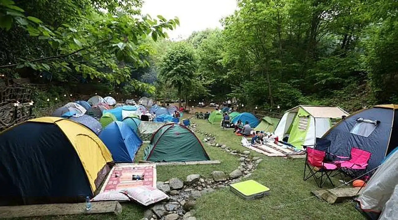 Bu yaz her iki kişiden biri kamp yaptı, satışlar katlandı