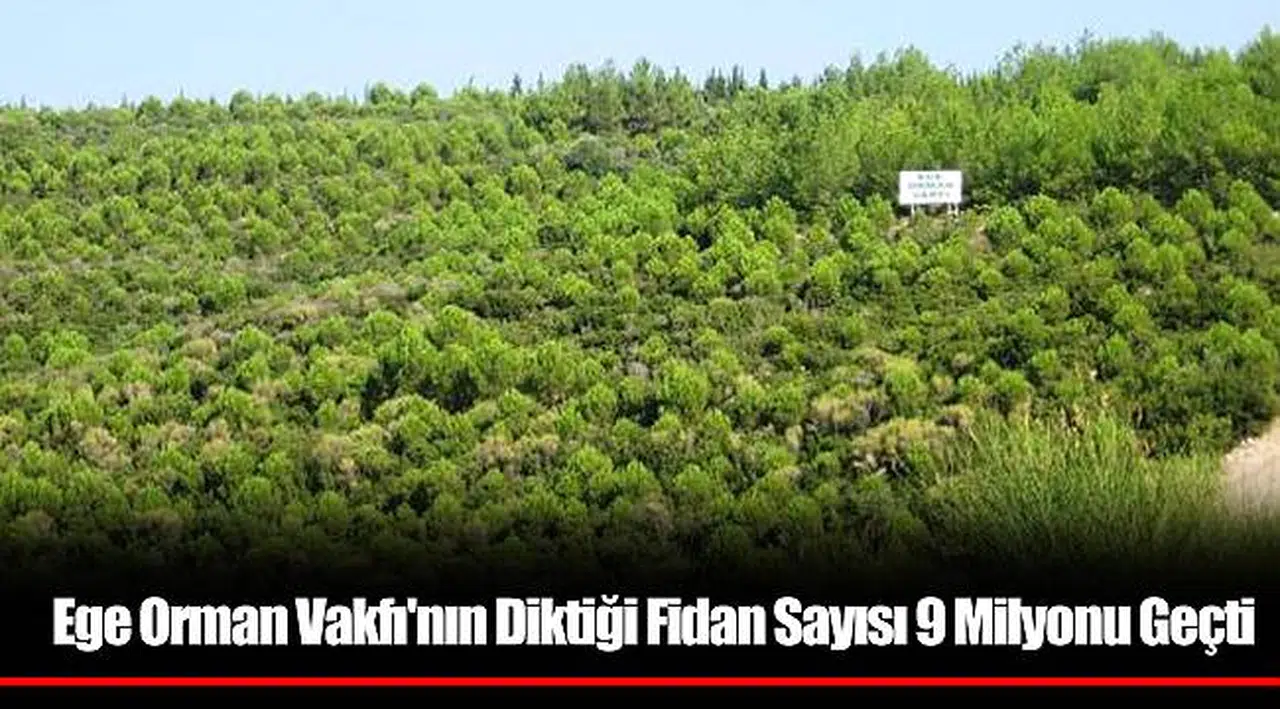 Ege Orman Vakfı'nın Diktiği Fidan Sayısı 9 Milyonu Geçti