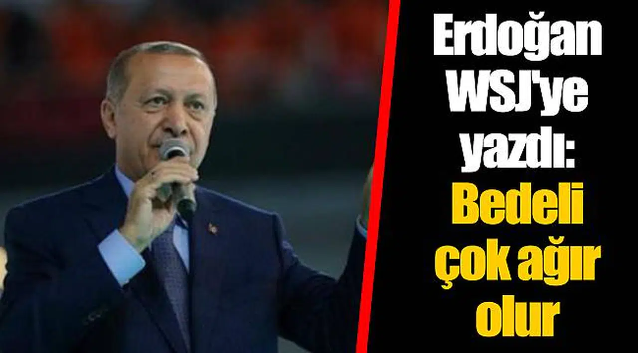 Erdoğan WSJ'ye yazdı: Bedeli çok ağır olur