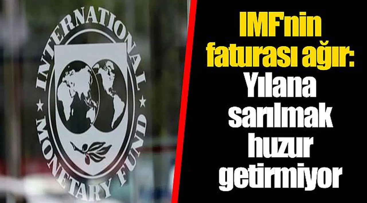 IMF'nin faturası ağır: Yılana sarılmak huzur getirmiyor