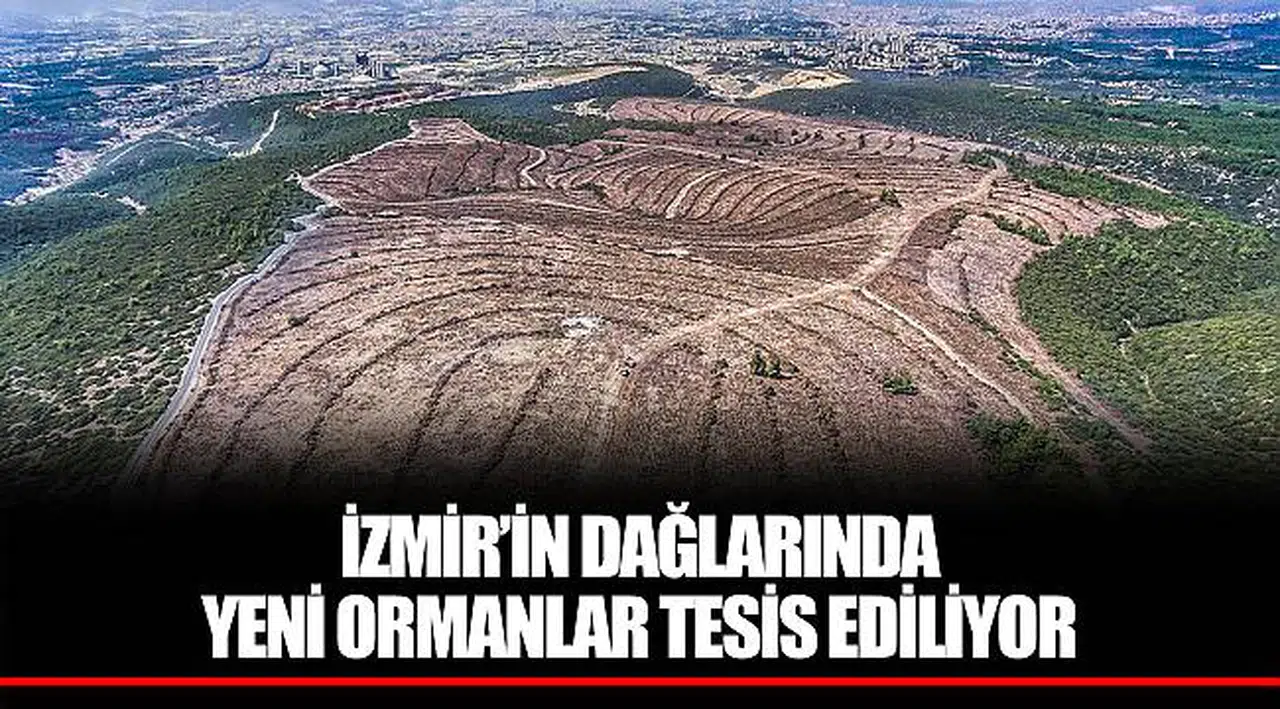 İZMİR’İN DAĞLARINDA YENİ ORMANLAR TESİS EDİLİYOR