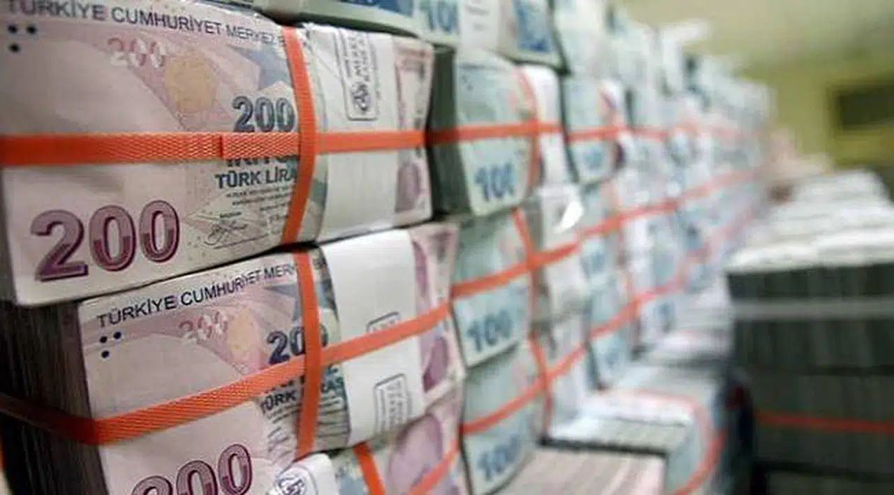 Merkez Bankası'ndan şirketlerin kur riski yönetimine destek