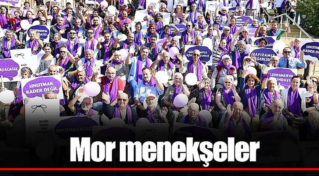 Mor menekşeler
