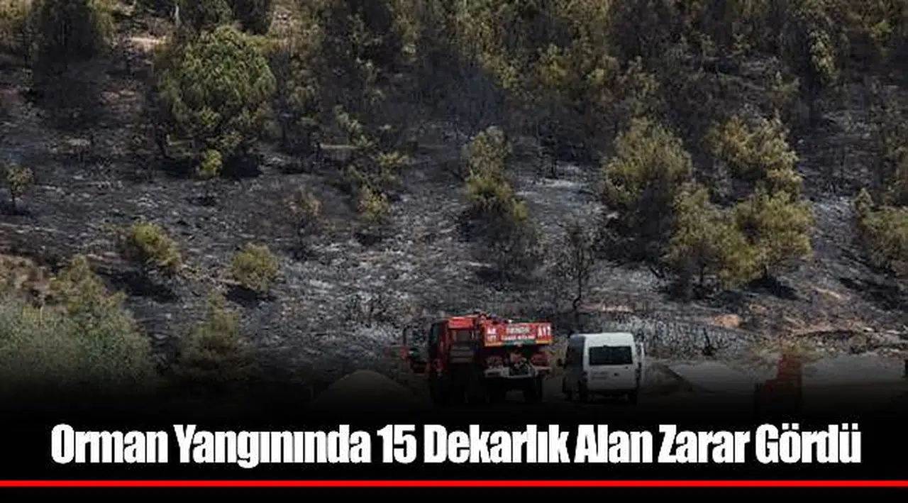 Orman Yangınında 15 Dekarlık Alan Zarar Gördü