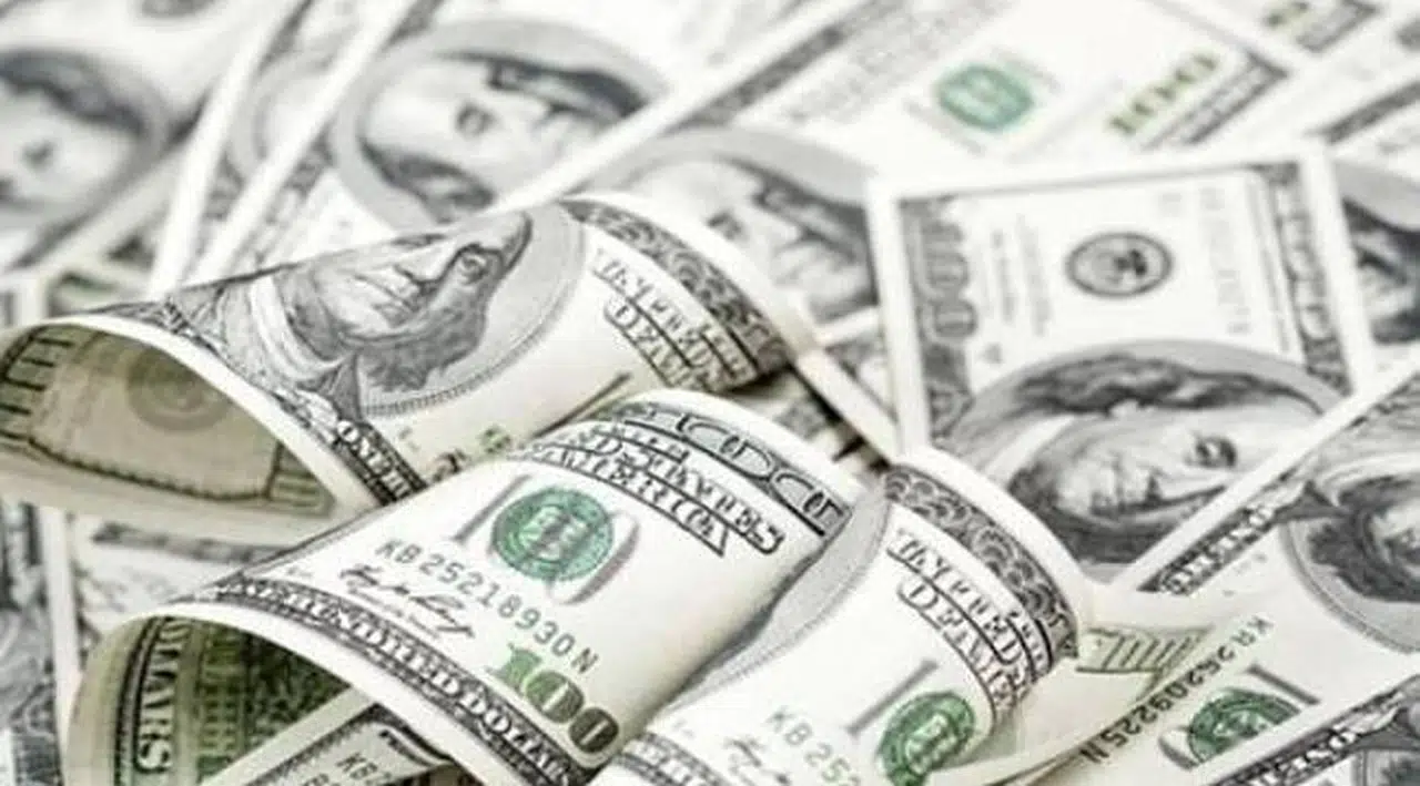 Program açıklandı dolar dalgalandı