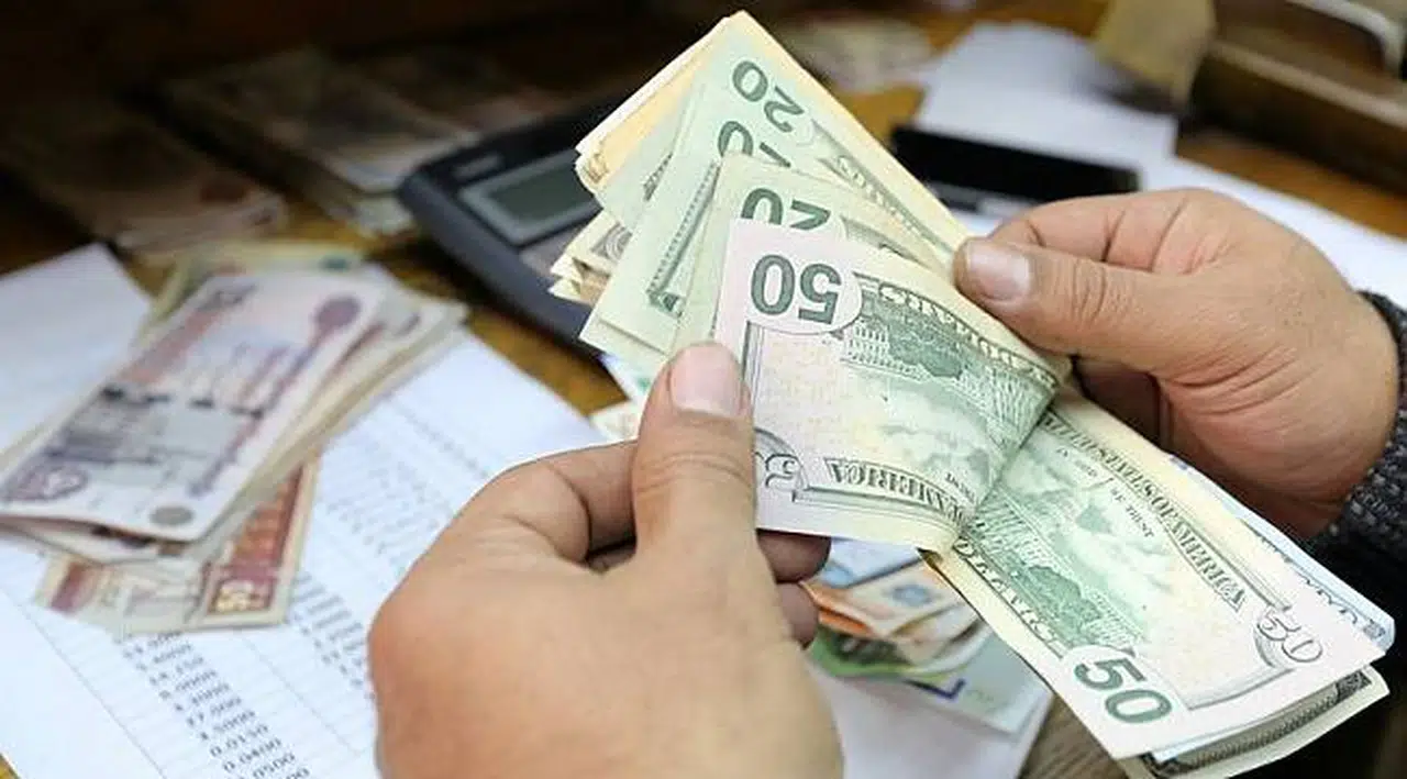 TCMB beklenti anketinde dolar kuru ve enflasyon yükseldi