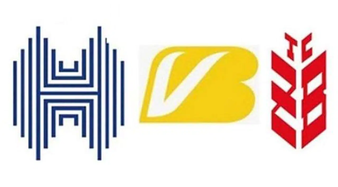 'Vakıfbank, Halkbank ve Ziraat Bankası birleşecek'