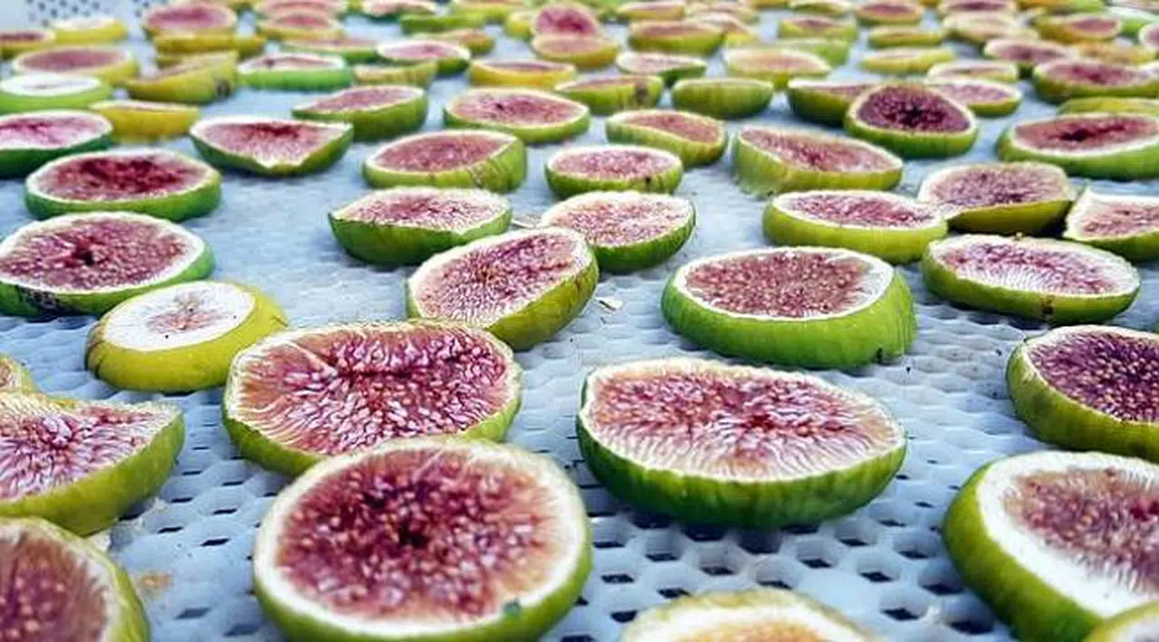 Yeğenleri için üretti, şimdi dünyaya satıyor