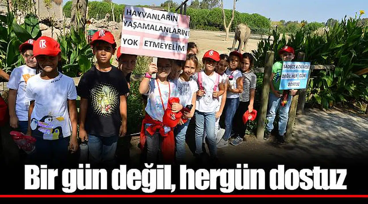 Bir gün değil, hergün dostuz