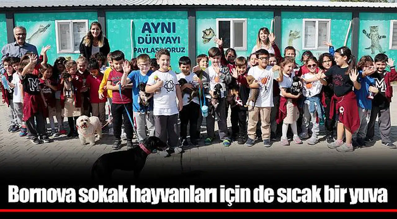 Bornova sokak hayvanları için de sıcak bir yuva
