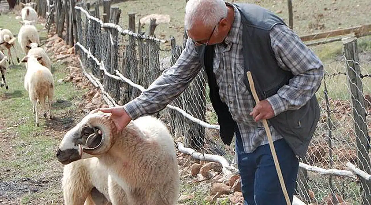 Hayvanların geldiği yöne doğru gittiğinde korkunç manzarayla karşılaştı