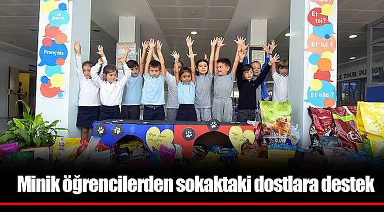 Minik öğrencilerden sokaktaki dostlara destek