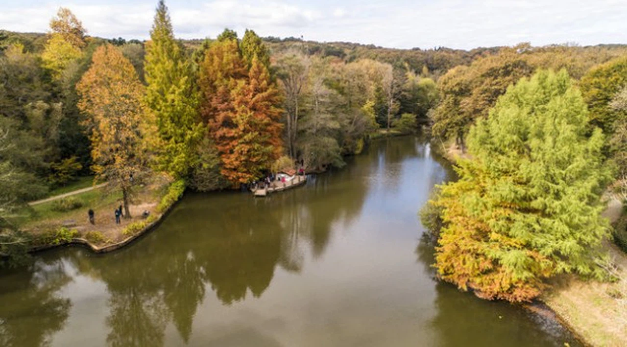 Atatürk Arboretumu'unda sonbahar