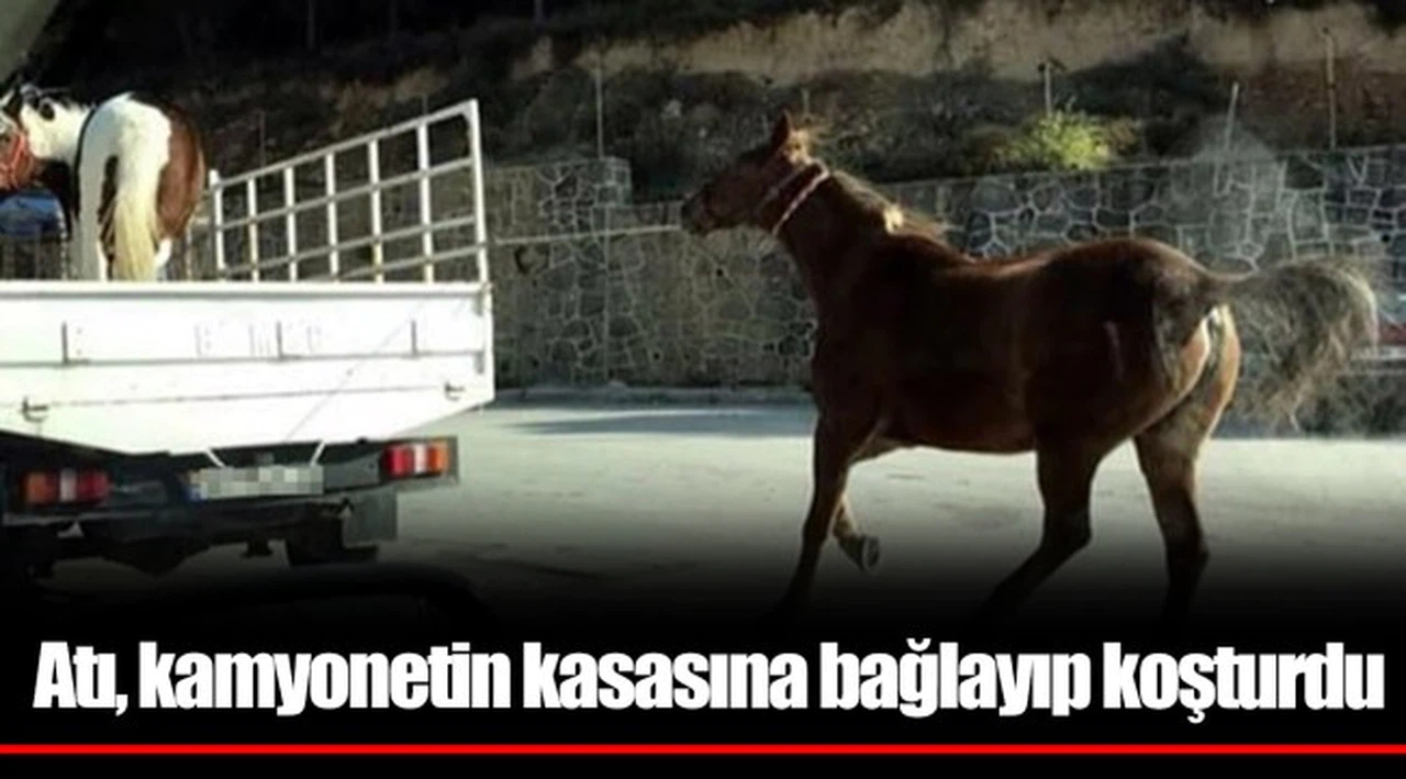 Atı, kamyonetin kasasına bağlayıp koşturdu