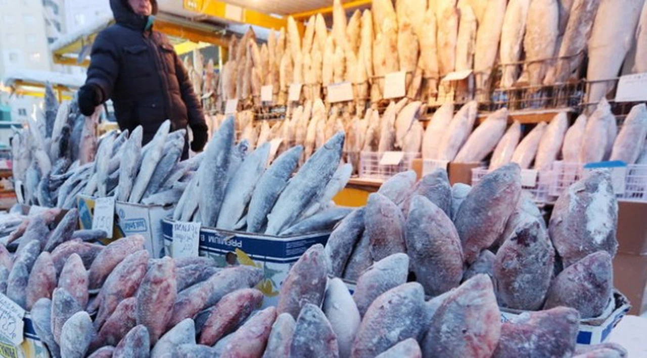 Dünyanın en soğuk şehri Yakutsk'ta hayat