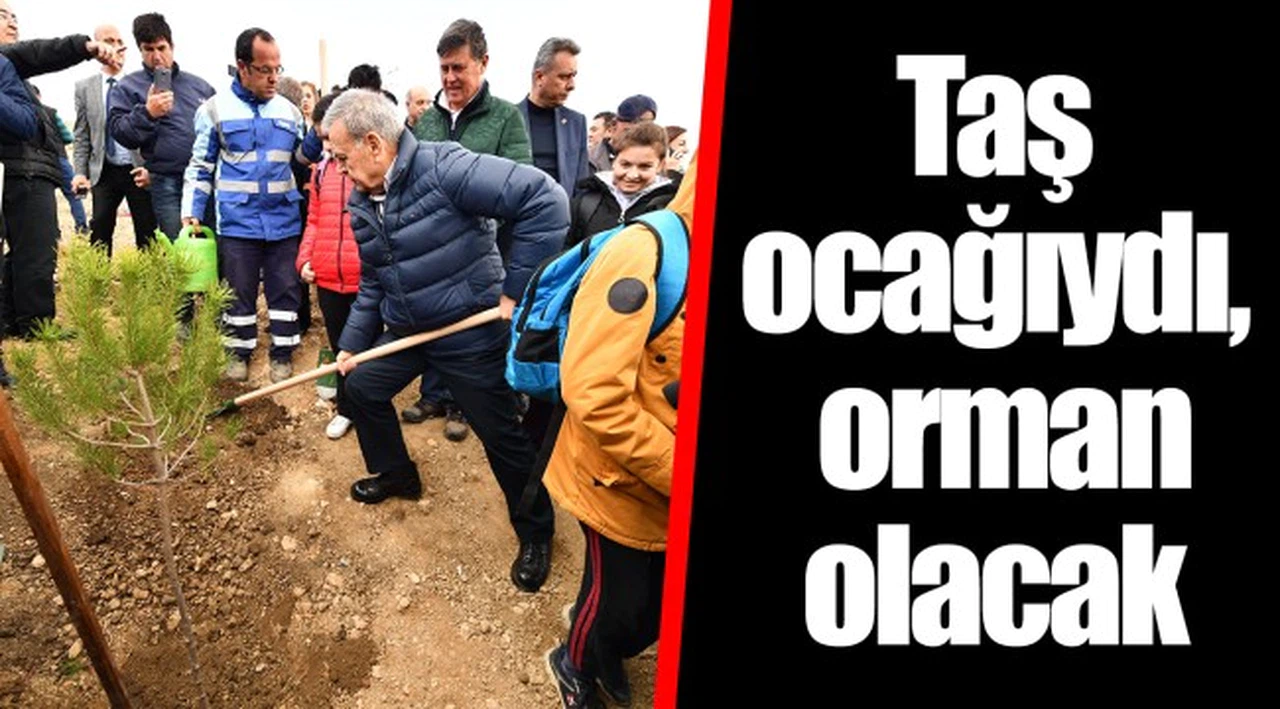 Taş ocağıydı, orman olacak