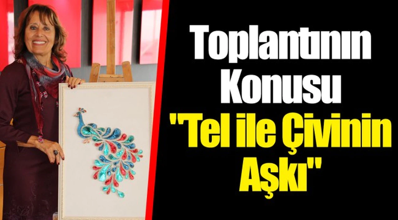 Toplantının Konusu "Tel ile Çivinin Aşkı"