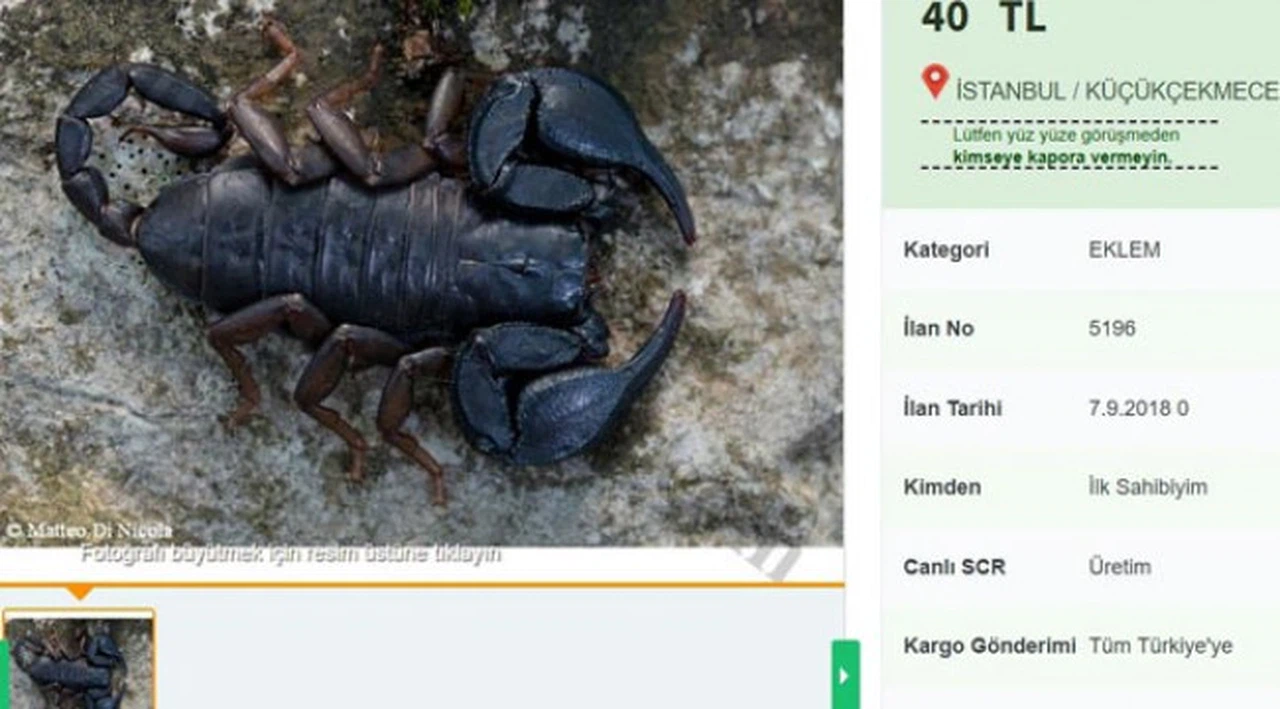 Kilometrelerce öteden getirip internetten satıyorlar!