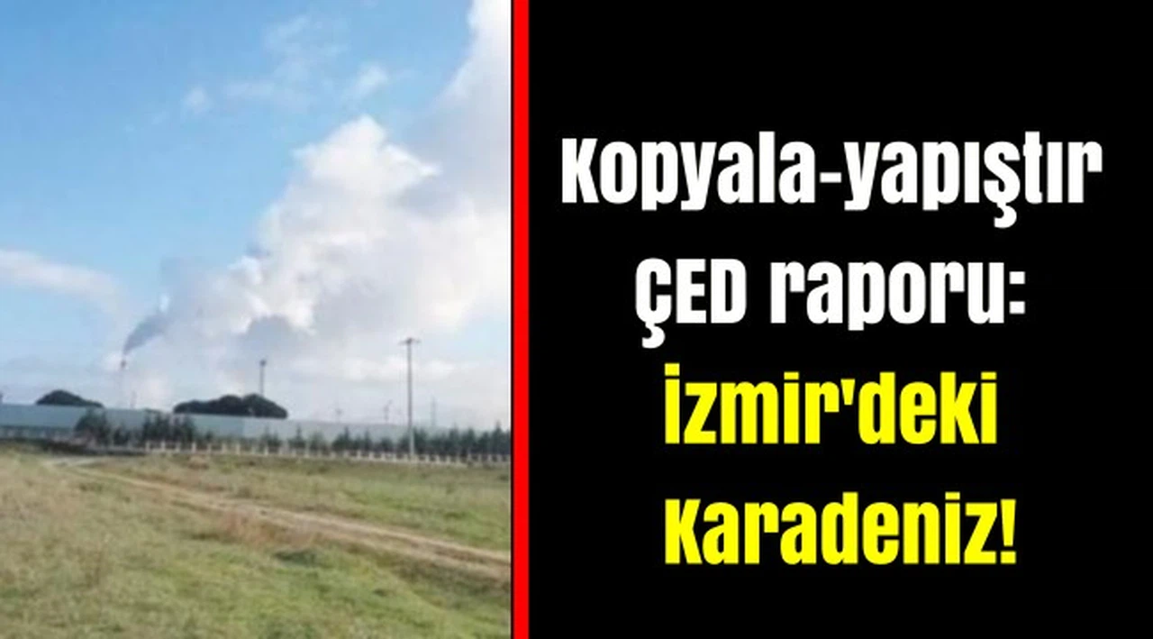 Kopyala-yapıştır ÇED raporu: İzmir'deki Karadeniz!