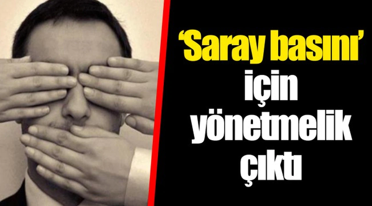 ‘Saray basını’ için yönetmelik çıktı