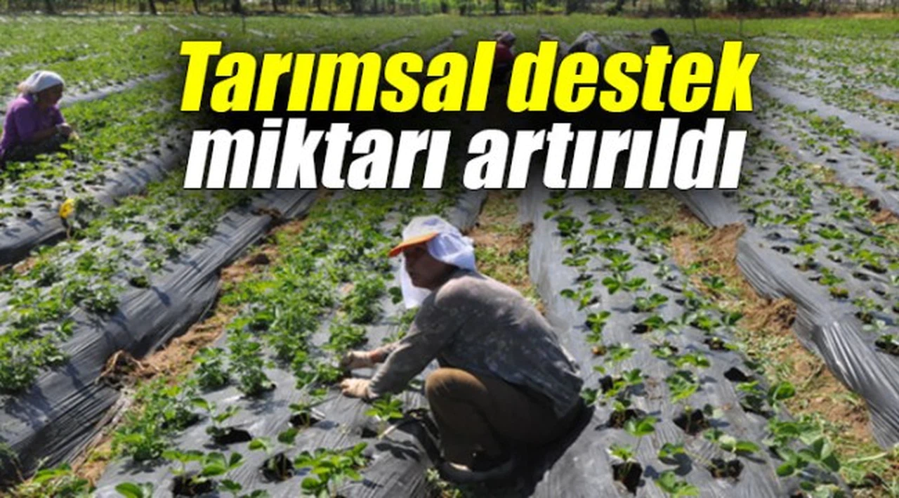 Tarımsal destek miktarı artırıldı