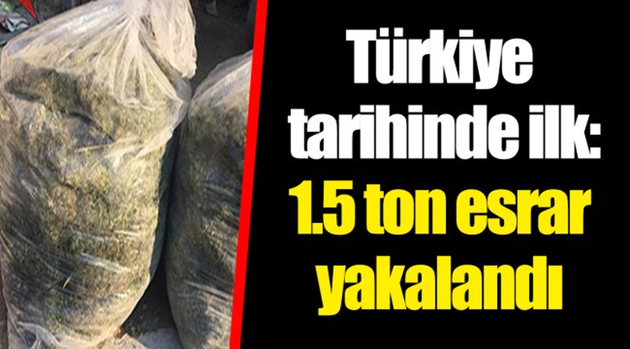 Türkiye tarihinde ilk: 1.5 ton esrar yakalandı