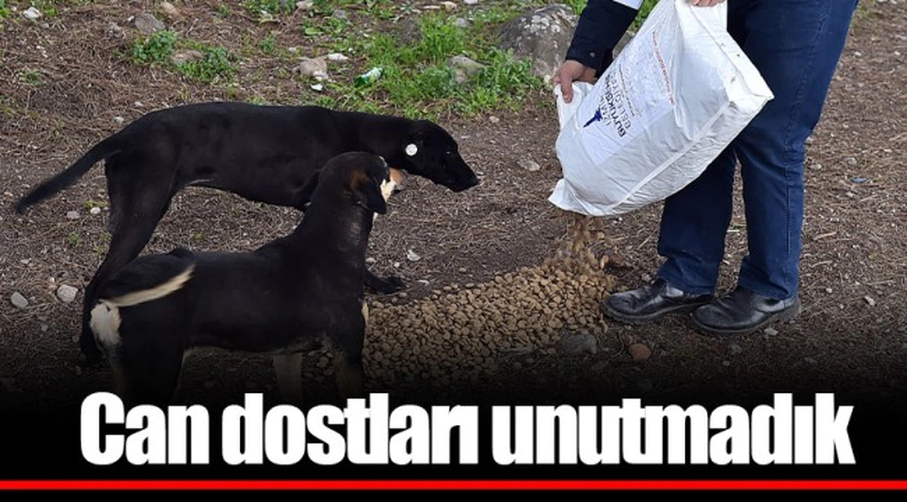 Can dostları unutmadık