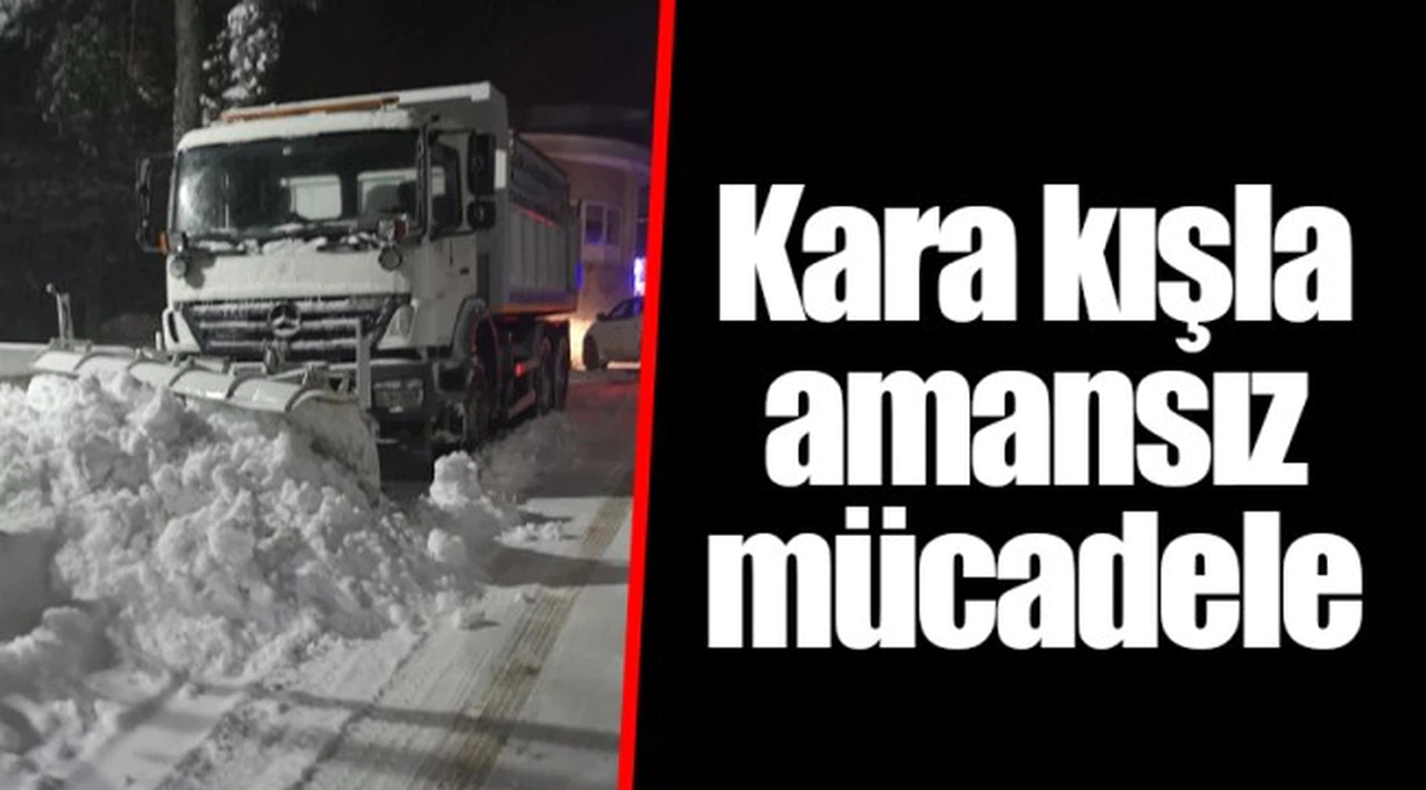 Kara kışla amansız mücadele