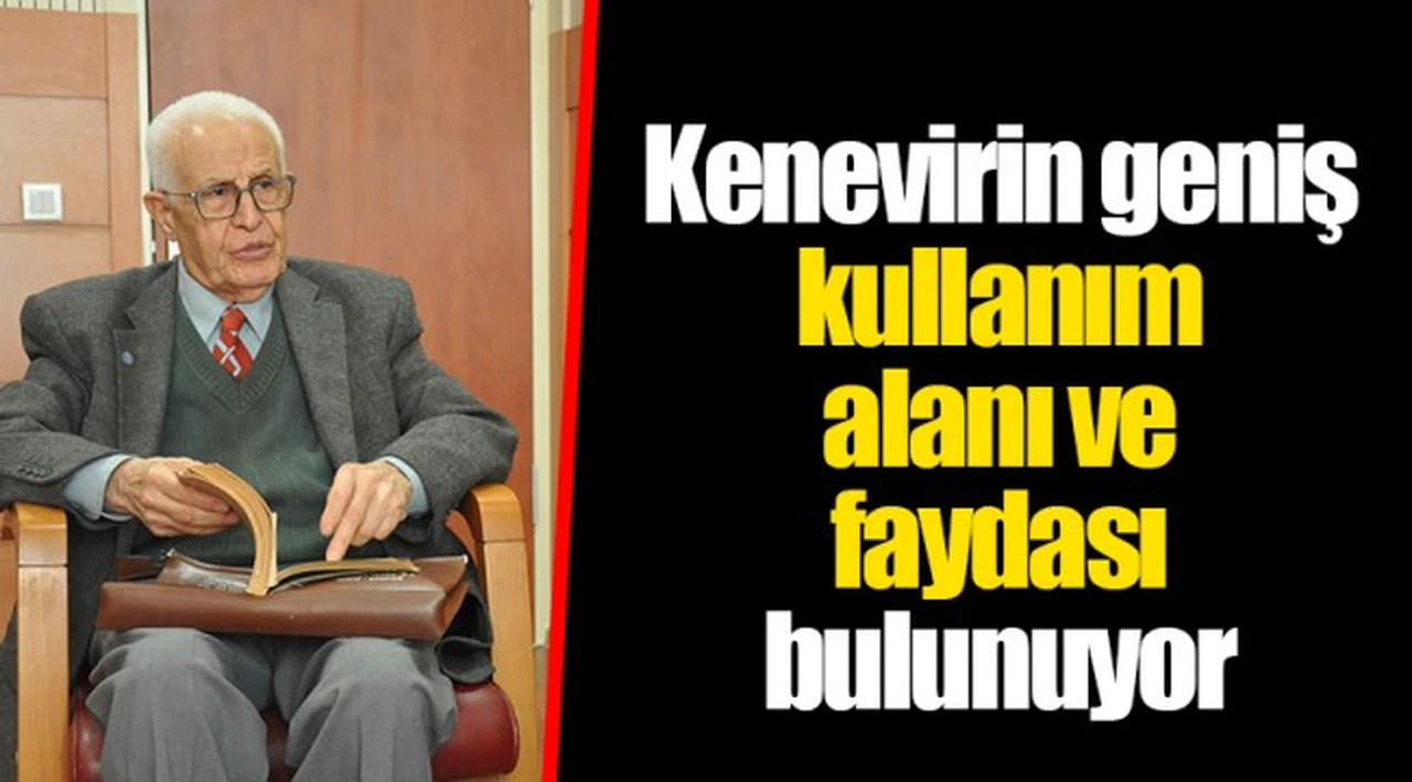 Kenevirin geniş kullanım alanı ve faydası bulunuyor