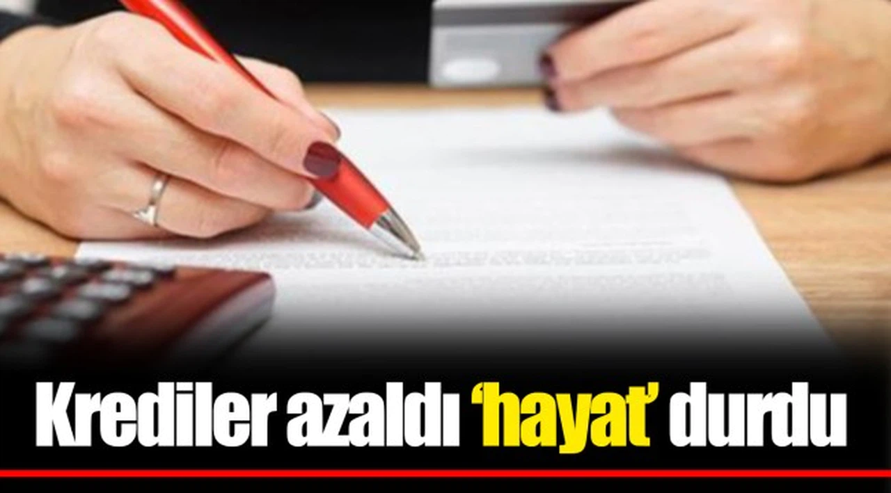Krediler azaldı ‘hayat’ durdu