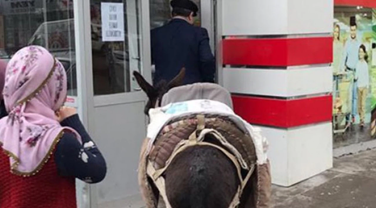 Paralı poşeti protesto için markete eşekle geldi!