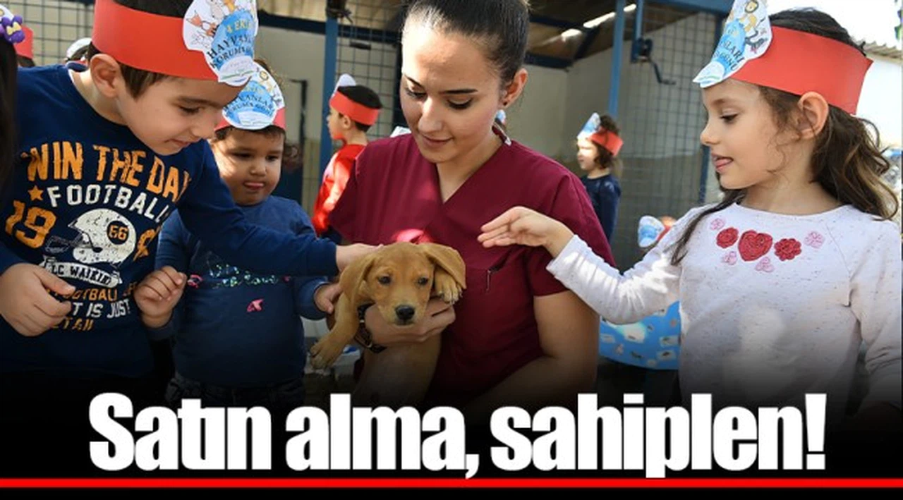 Satın alma, sahiplen!