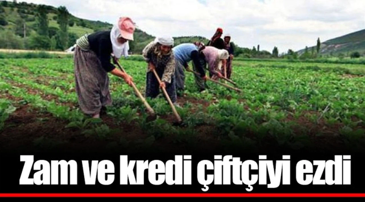 Zam ve kredi çiftçiyi ezdi