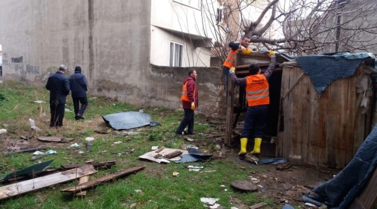 Başıboş pitbull belediye ekipleri tarafından yakalandı