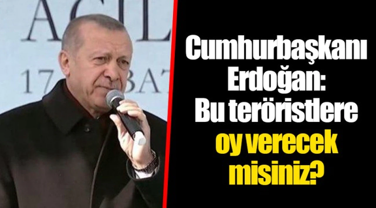 Cumhurbaşkanı Erdoğan: Bu teröristlere oy verecek misiniz?