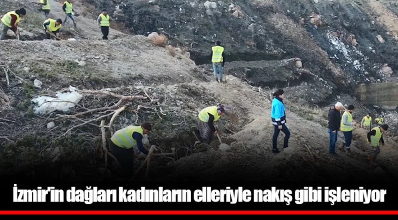 İzmir'in dağları kadınların elleriyle nakış gibi işleniyor