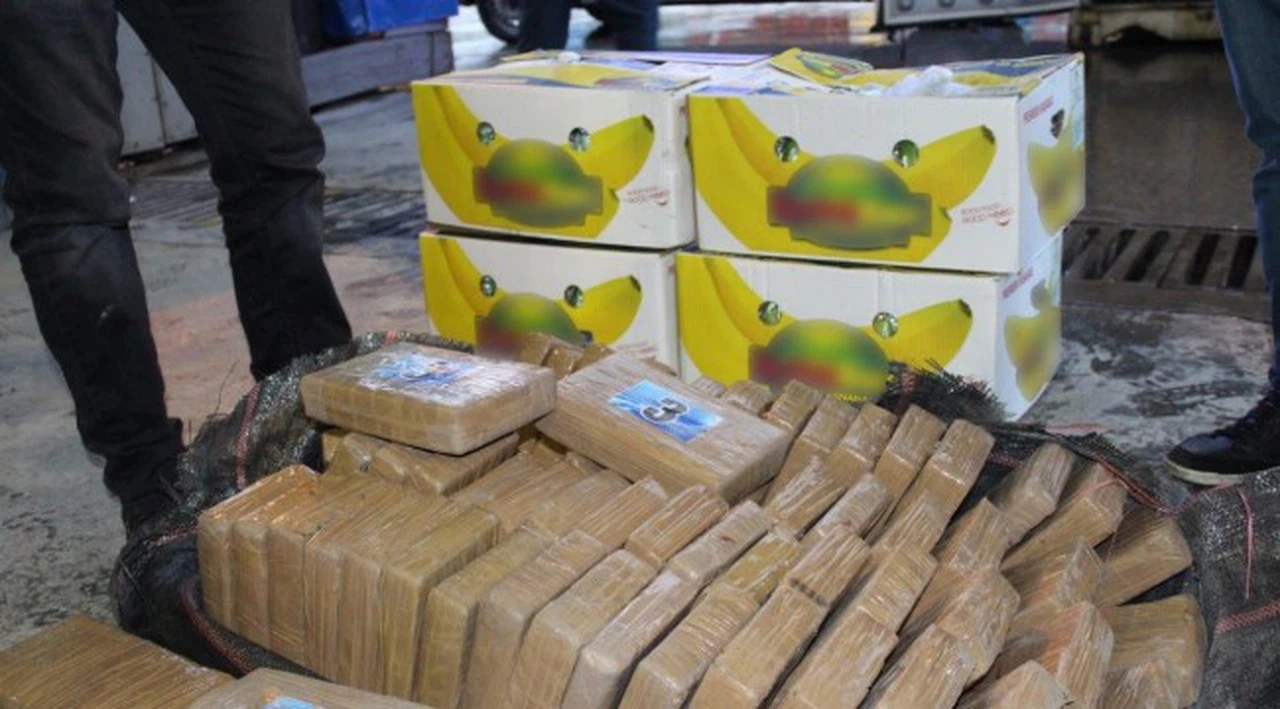 Muz yüklü konteynerden 79 kilo kokain çıktı