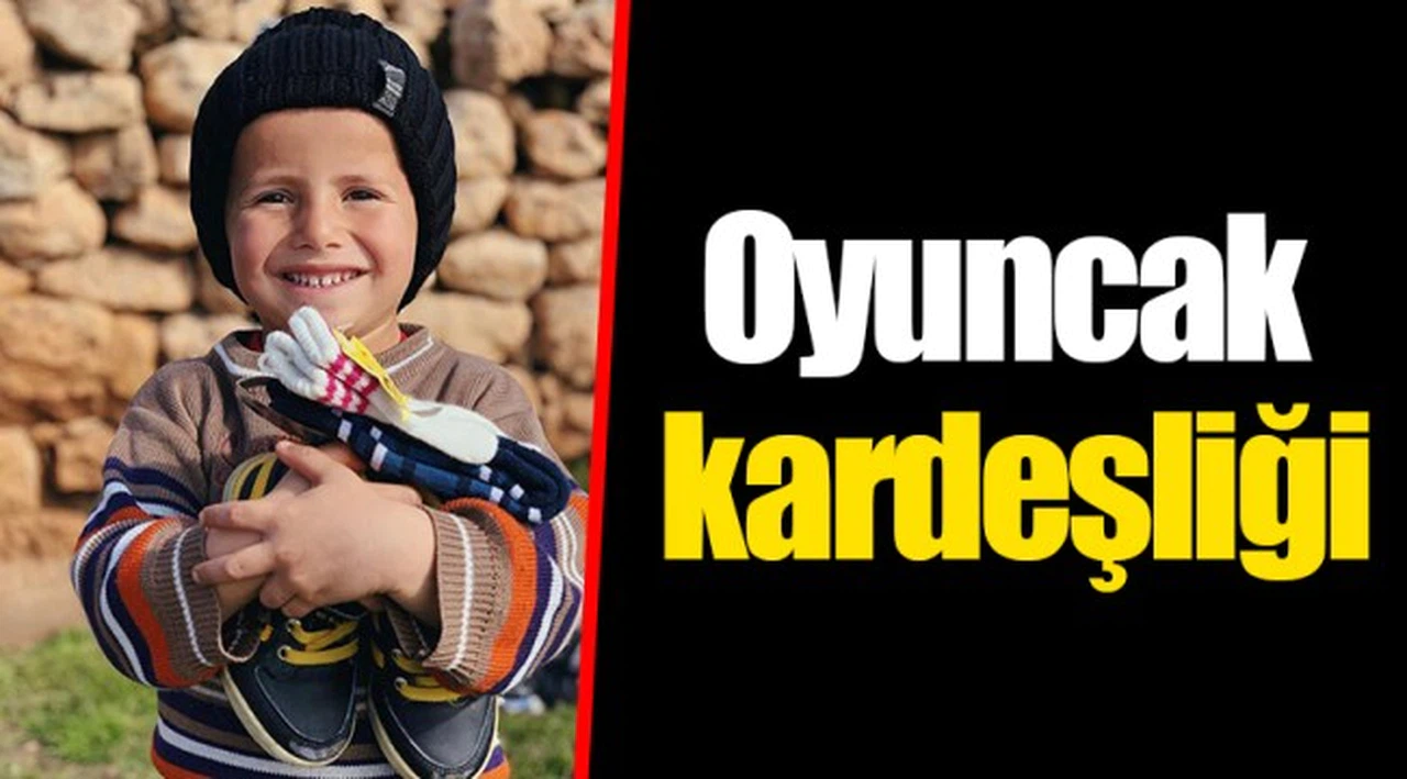 Oyuncak kardeşliği