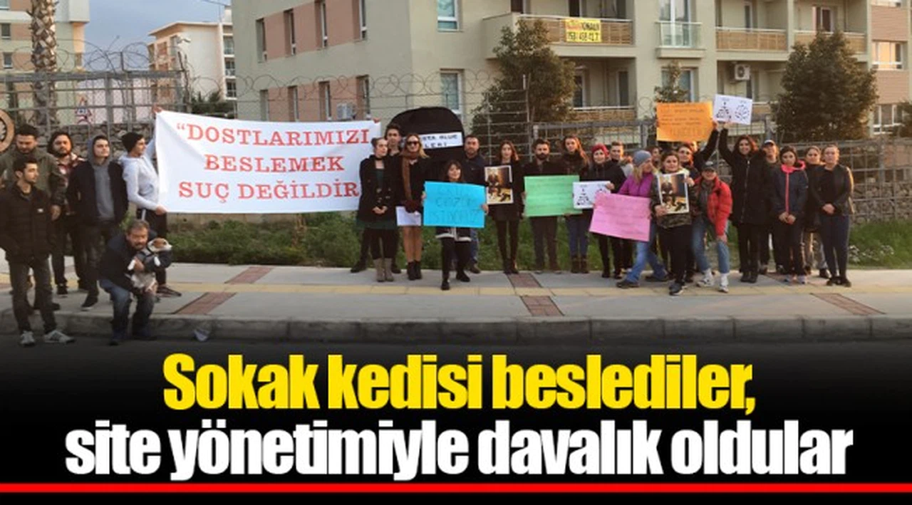 Sokak kedisi beslediler, site yönetimiyle davalık oldular