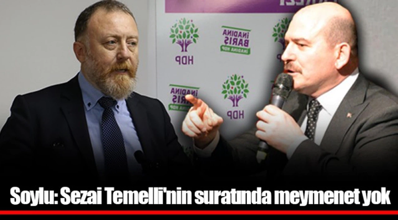 Soylu: Sezai Temelli'nin suratında meymenet yok