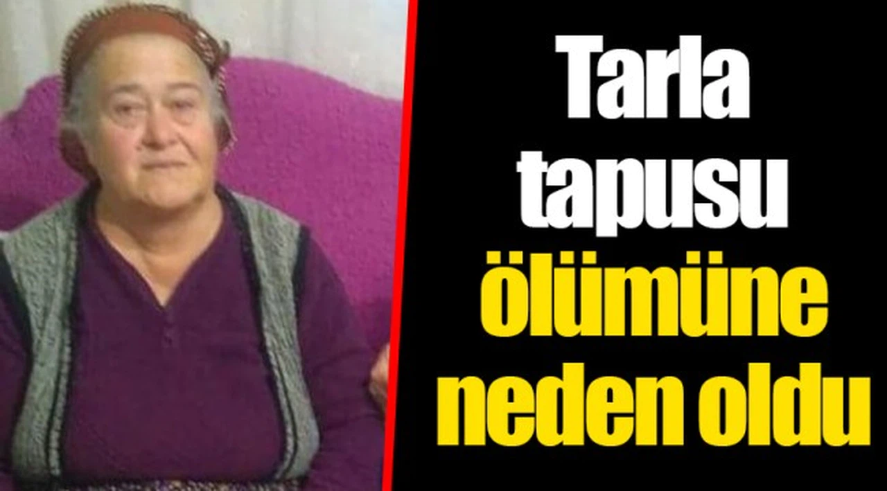 Tarla tapusu ölüme neden oldu