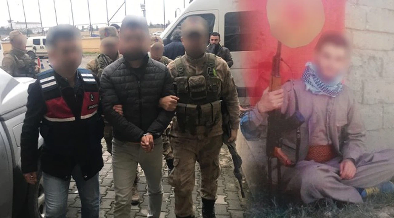 Ücretli öğretmenlik yapan şahıs PKK'lı çıktı