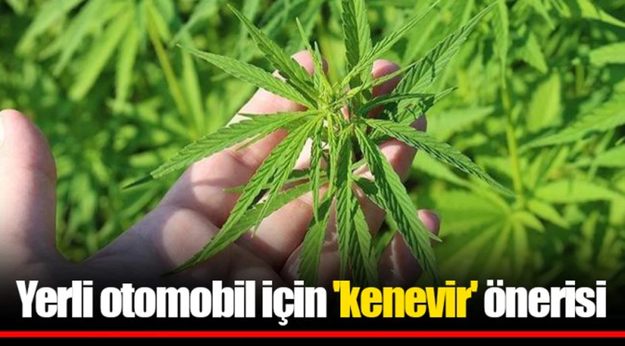 Yerli otomobil için 'kenevir' önerisi