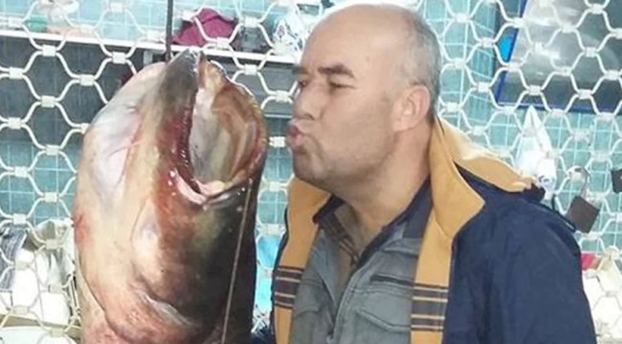 Balık pazarında dev yayın balığı