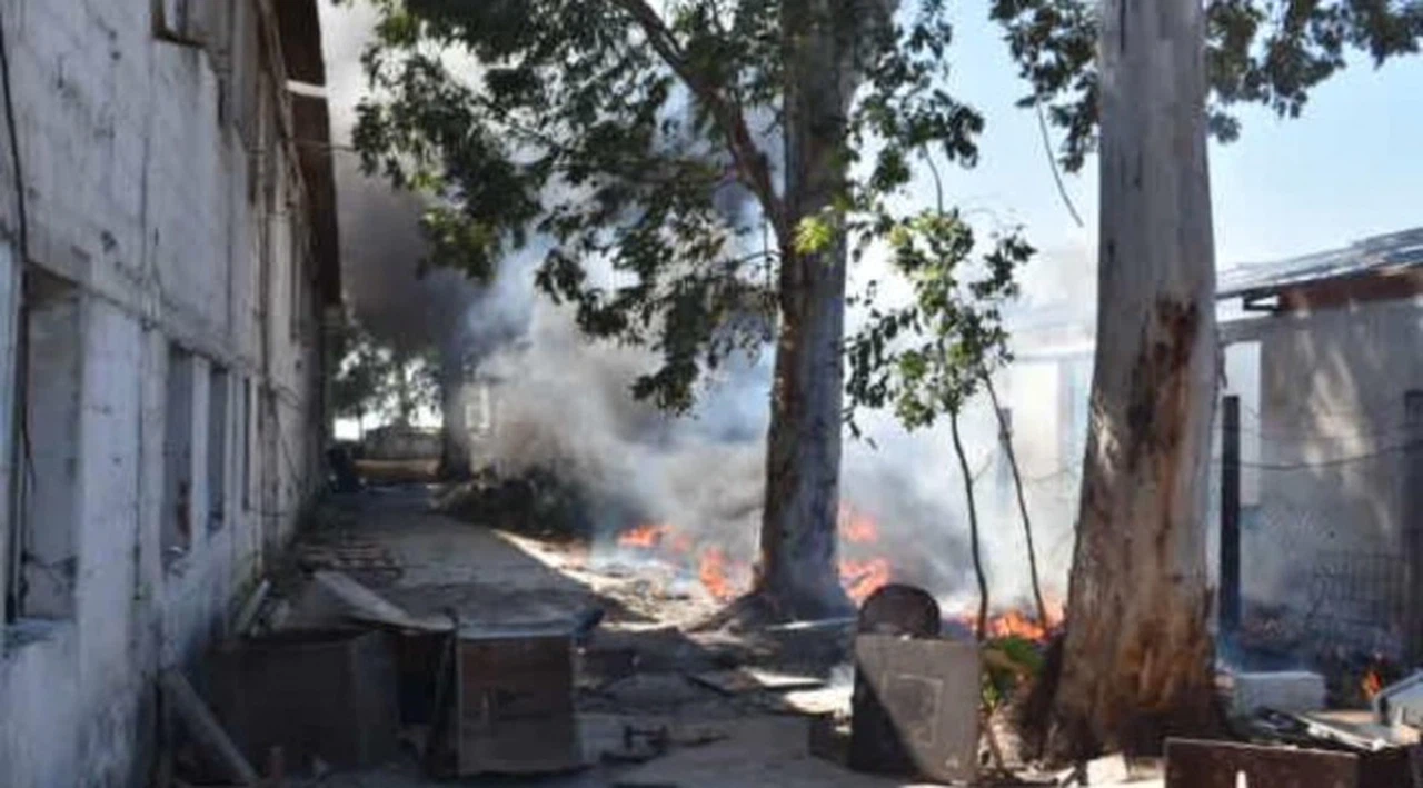 İzmir’de boş arazide çıkan yangın korkuttu