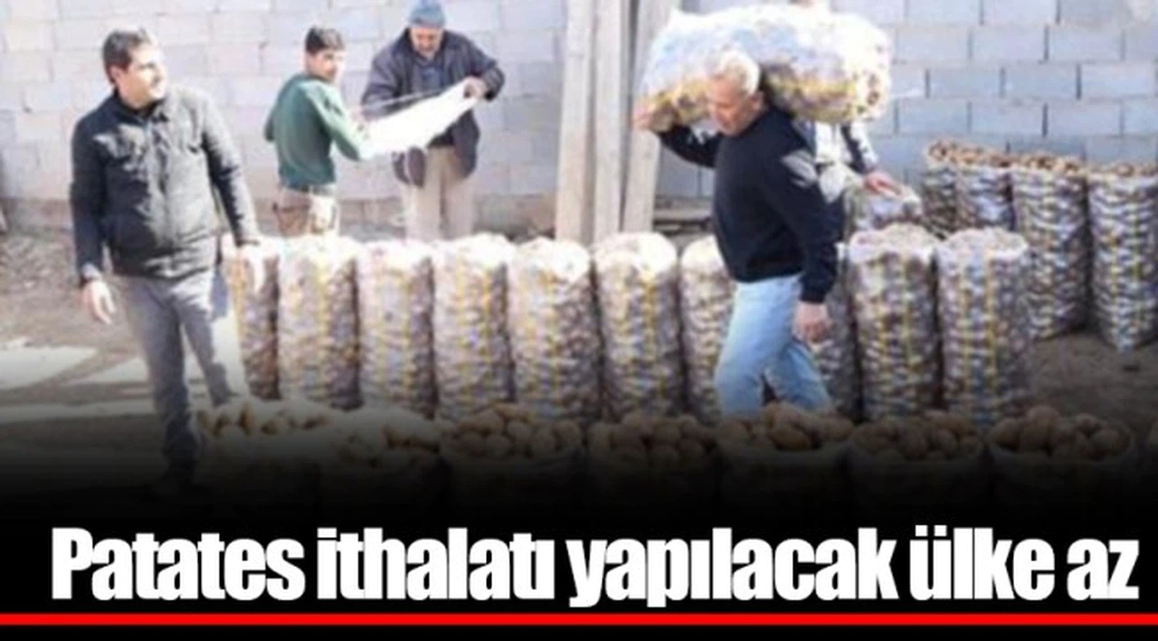 Patates ithalatı yapılacak ülke az