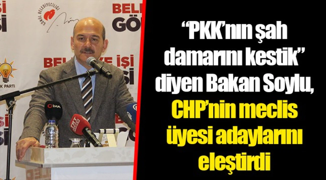 “PKK’nın şah damarını kestik” diyen Bakan Soylu, CHP’nin meclis üyesi adaylarını eleştirdi