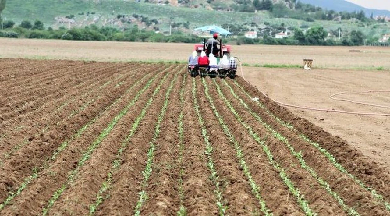 Tarım- ÜFE Şubat ayında yüzde 2,73 arttı