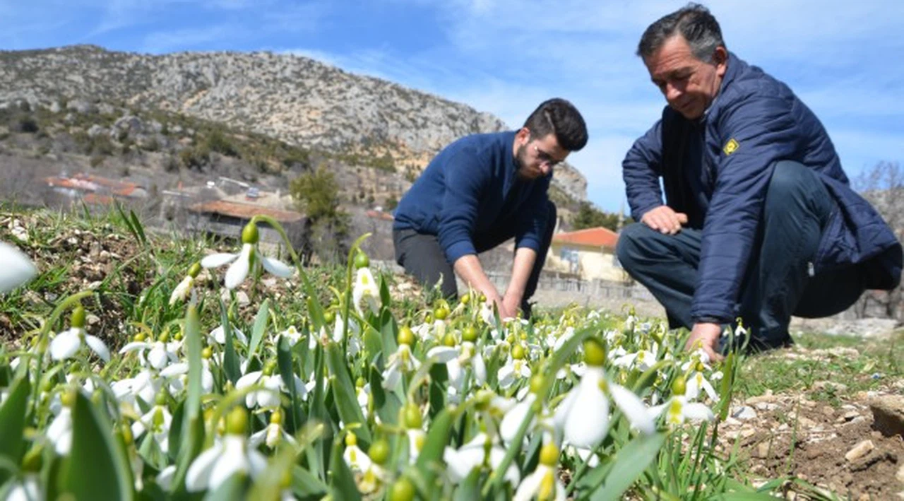 Toroslar'ın gelinliğini koruma projesi